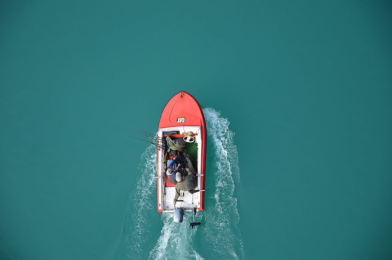 The Best Strategies for Building a Loyal Blog Audience